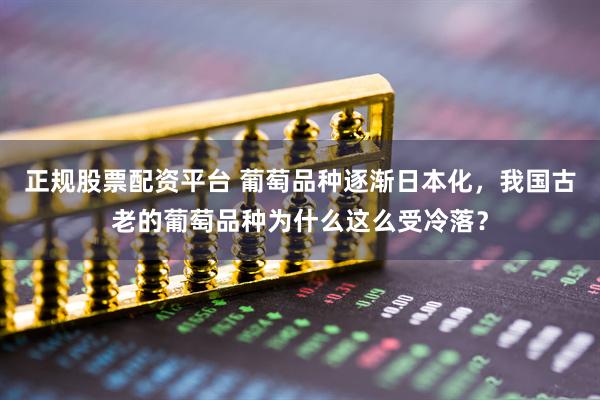 正规股票配资平台 葡萄品种逐渐日本化，我国古老的葡萄品种为什么这么受冷落？